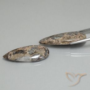 Shop natural 21.31ct マルチカラー 碧玉 gems, 洋梨の形, from インドネシア at GemSelect. In stock, global shipping!