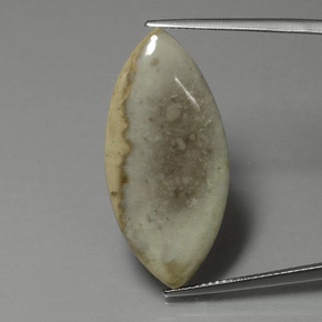 15.89カラットの天然マルチカラー碧玉、マーキーズ、オペーク