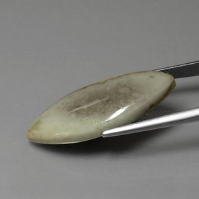 15.89カラットの天然マルチカラー碧玉、マーキーズ、オペーク