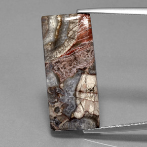 12.20カラットの天然マルチカラー碧玉、バゲット、オペーク