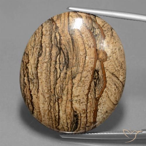 48.53ct 天然 マルチカラー 碧玉, 楕円形, オペーク