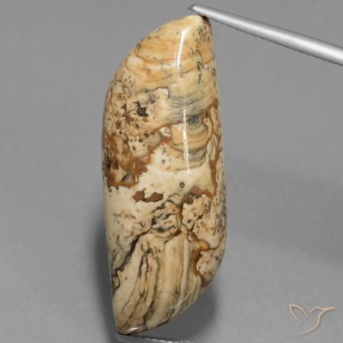 27.33ct 天然 マルチカラー 碧玉, ファンシー, オペーク