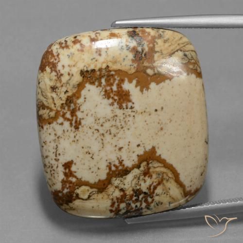 37.15ct 天然 マルチカラー 碧玉, クッション, オペーク