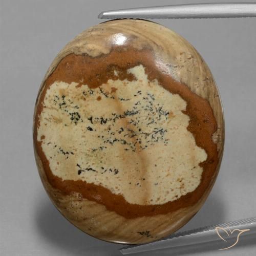 44.93ct 天然 マルチカラー 碧玉, 楕円形, オペーク