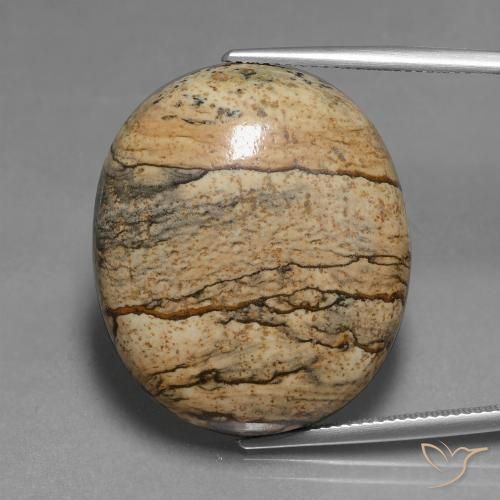 46.30ct 天然 マルチカラー 碧玉, 楕円形, オペーク