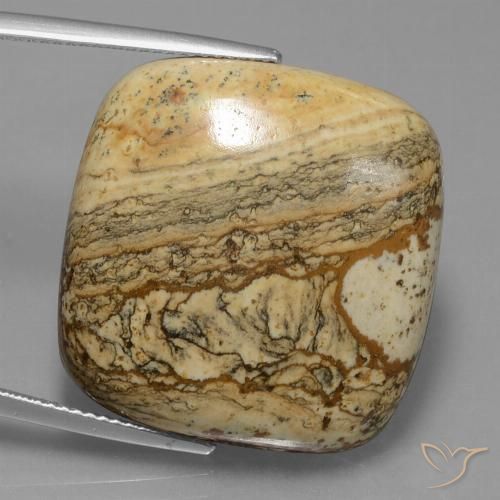 38.72ct 天然 マルチカラー 碧玉, クッション, オペーク