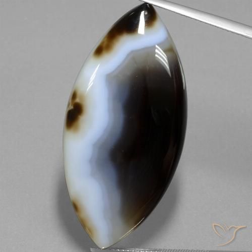 49.54ct 天然 マルチカラー 碧玉, マーキーズ, 半透明