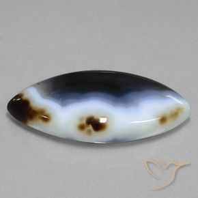 49.54カラットの天然マルチカラー碧玉、マーキーズ、半透明