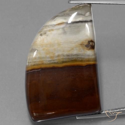 40.76ct 天然 マルチカラー 碧玉, ファンシー, オペーク