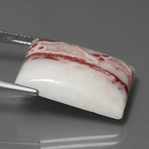 20.57カラットの天然マルチカラー碧玉、バゲット、オペーク