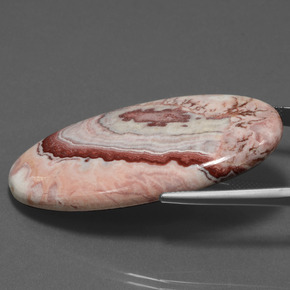 55.89カラットの天然マルチカラー碧玉、オーバルカット、オペーク