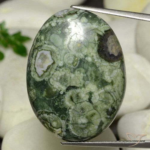 24.95ct 天然 マルチカラー 碧玉, 楕円形, オペーク