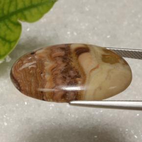 21.62カラットの天然マルチカラー碧玉、オーバルカット、オペーク