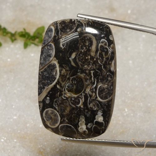 33.92ct 天然 マルチカラー 碧玉, クッション, オペーク