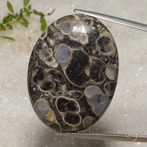 47.06ct 天然 マルチカラー 碧玉, 楕円形, オペーク