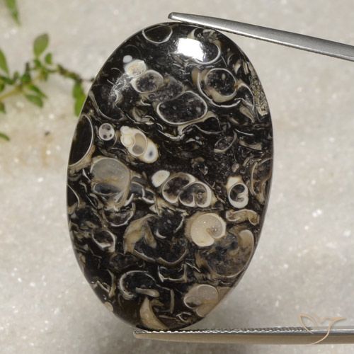 40.51ct 天然 マルチカラー 碧玉, 楕円形, オペーク