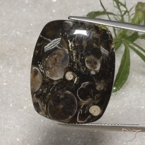23.10ct 天然 マルチカラー 碧玉, クッション, オペーク
