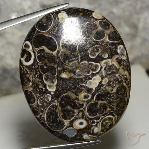 44.14ct 天然 マルチカラー 碧玉, 楕円形, オペーク
