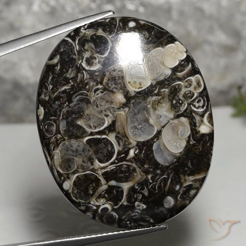 37.36ct 天然 マルチカラー 碧玉, 楕円形, オペーク