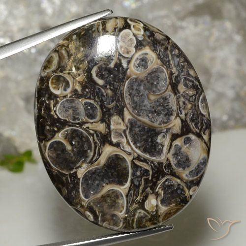 37.90ct 天然 マルチカラー 碧玉, 楕円形, オペーク