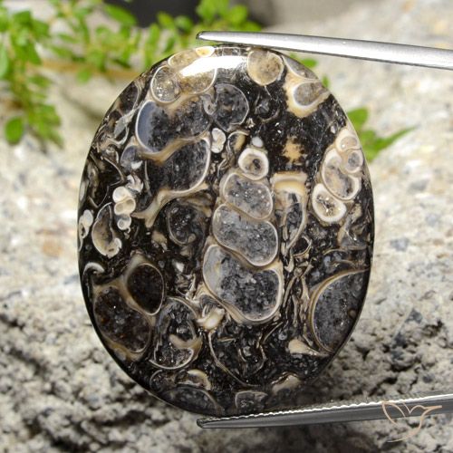 34.14ct 天然 マルチカラー 碧玉, 楕円形, オペーク