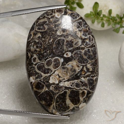 50.37ct 天然 マルチカラー 碧玉, 楕円形, オペーク