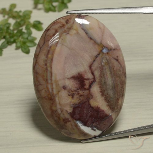 26.89ct 天然 マルチカラー 碧玉, 楕円形, オペーク