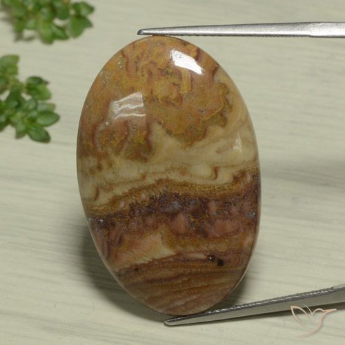 25.93ct 天然 マルチカラー 碧玉, 楕円形, オペーク