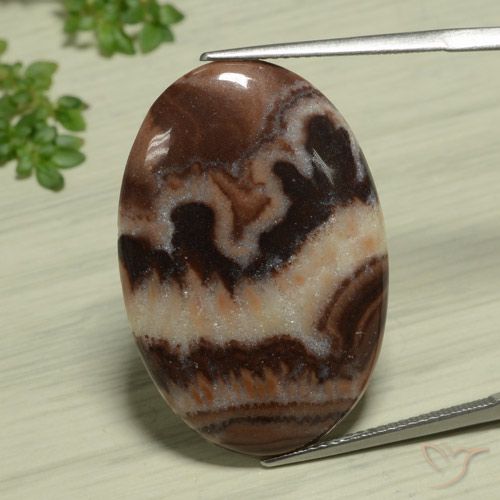 18.89ct 天然 マルチカラー 碧玉, 楕円形, オペーク