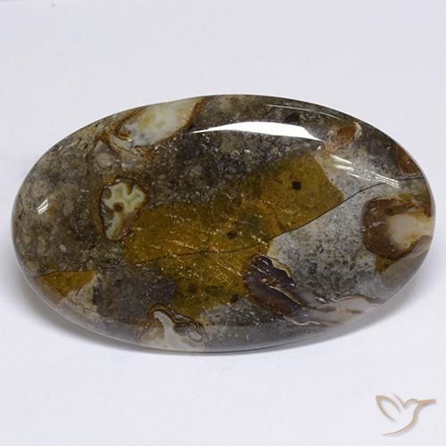 48.91ct 天然 マルチカラー 碧玉, 楕円形, オペーク
