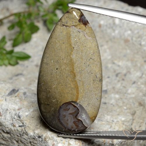 24.26ct 天然 マルチカラー 碧玉, 洋梨の形, オペーク