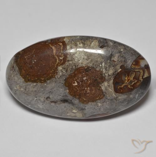 46.26ct 天然 マルチカラー 碧玉, 楕円形, オペーク