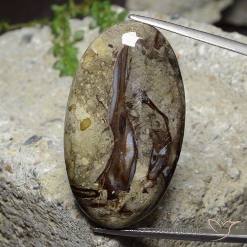 46.39ct 天然 マルチカラー 碧玉, 楕円形, オペーク