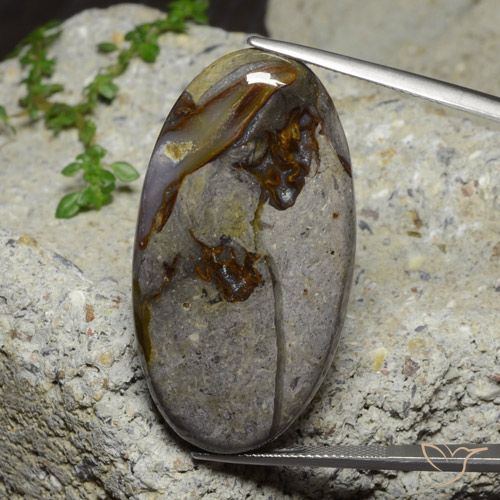 46.39ct 天然 マルチカラー 碧玉, 楕円形, オペーク