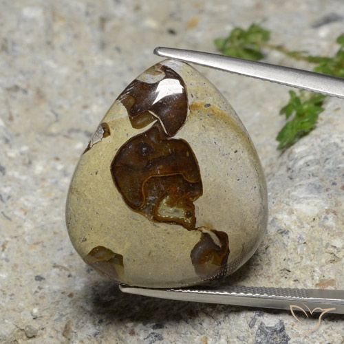 22.24ct 天然 マルチカラー 碧玉, 洋梨の形, オペーク