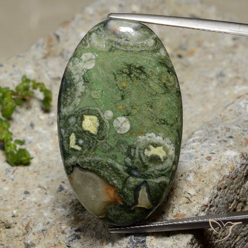27.42ct 天然 マルチカラー 碧玉, 楕円形, オペーク