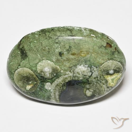 19.43ct 天然 マルチカラー 碧玉, 楕円形, オペーク