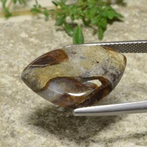 9.97カラットの天然マルチカラー碧玉、トリリオン、オペーク