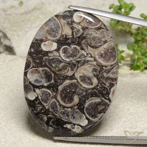 36.83ct 天然 マルチカラー 碧玉, 楕円形, オペーク