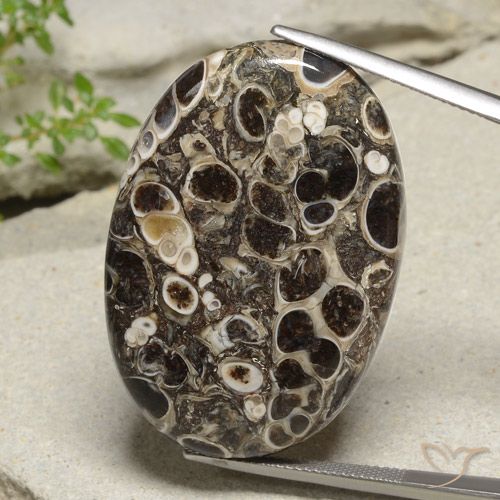 47.67ct 天然 マルチカラー 碧玉, 楕円形, オペーク