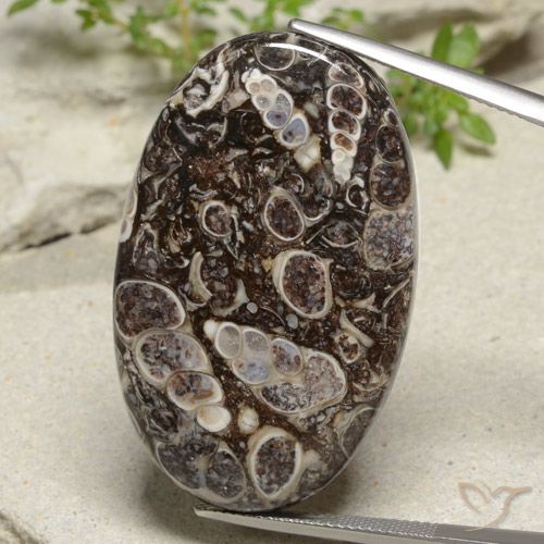 43.97ct 天然 マルチカラー 碧玉, 楕円形, オペーク
