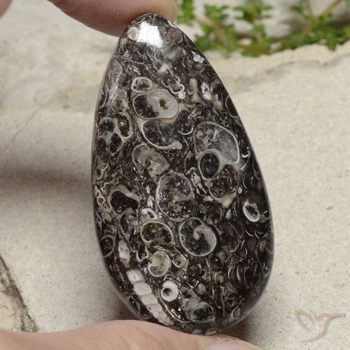48.79ct 天然 マルチカラー 碧玉, 洋梨の形, オペーク
