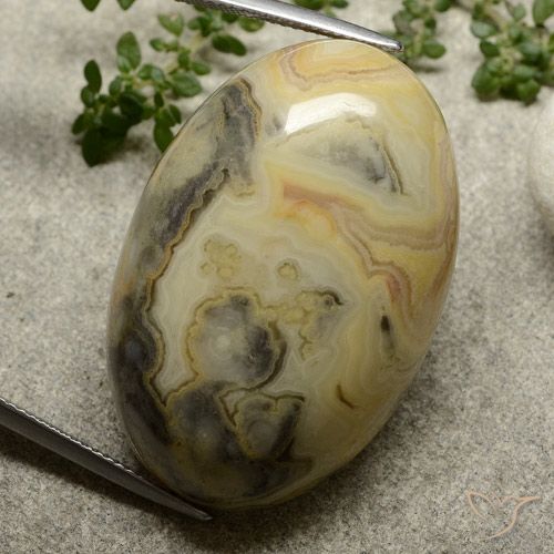 62.76ct 天然 マルチカラー 碧玉, 楕円形, オペーク