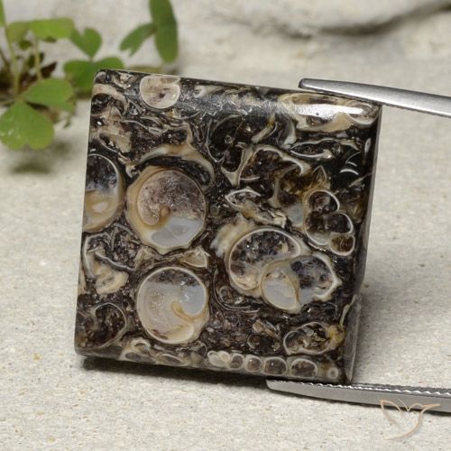 30.08ct 天然 マルチカラー 碧玉, 四角形, オペーク