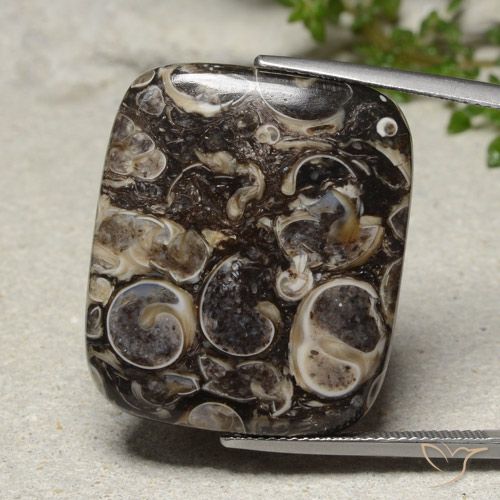 33.41ct 天然 マルチカラー 碧玉, クッション, オペーク