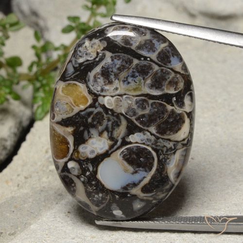 31.02ct 天然 マルチカラー 碧玉, 楕円形, オペーク