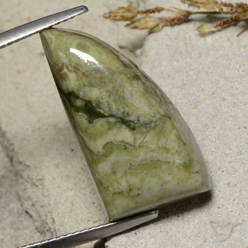 12.46ct 天然 マルチカラー 碧玉, ファンシー, オペーク