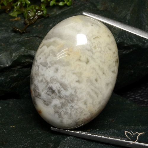46.37ct 天然 マルチカラー 碧玉, 楕円形, オペーク