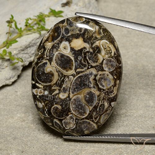 40.36ct 天然 マルチカラー 碧玉, 楕円形, オペーク