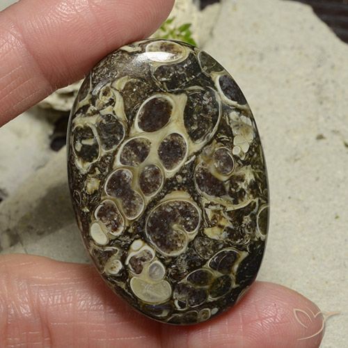 71.95ct 天然 マルチカラー 碧玉, 楕円形, オペーク